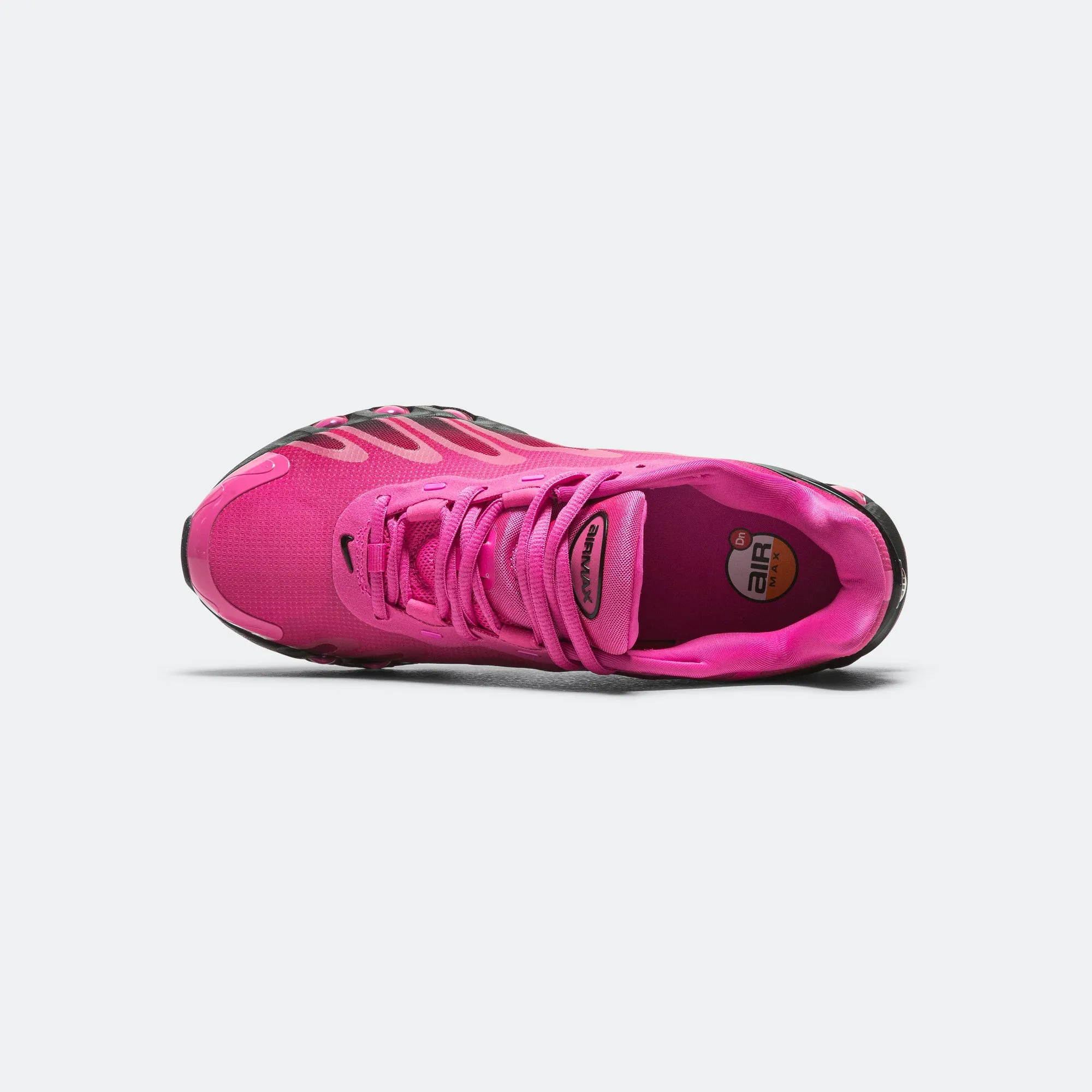 Womens Air Max DN8 - Laser Fuchsia/Black-Sport Fuchsia